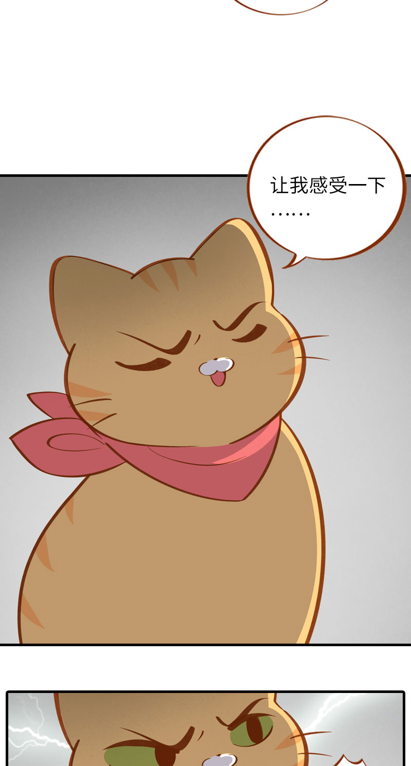 《猫咪的人类饲养指南》第10话 名侦探橘子 第3页