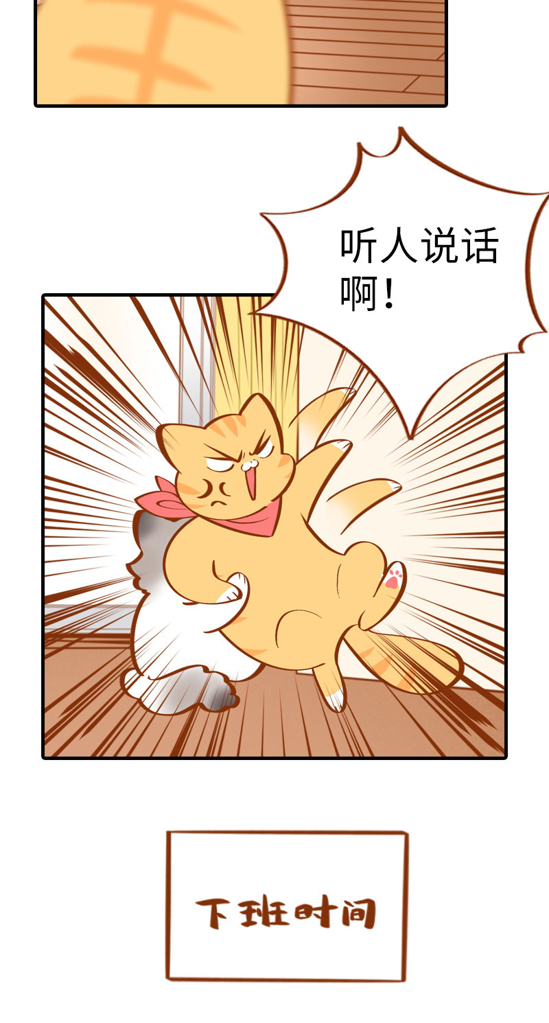 《猫咪的人类饲养指南》第10话 名侦探橘子 第6页
