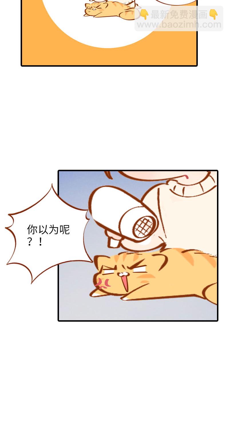 《猫咪的人类饲养指南》第14话 泡澡 第10页