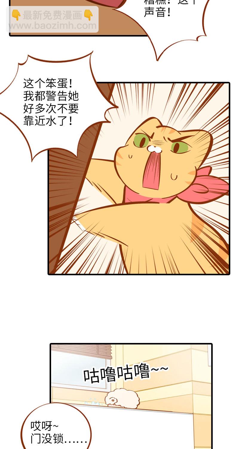 《猫咪的人类饲养指南》第14话 泡澡 第5页