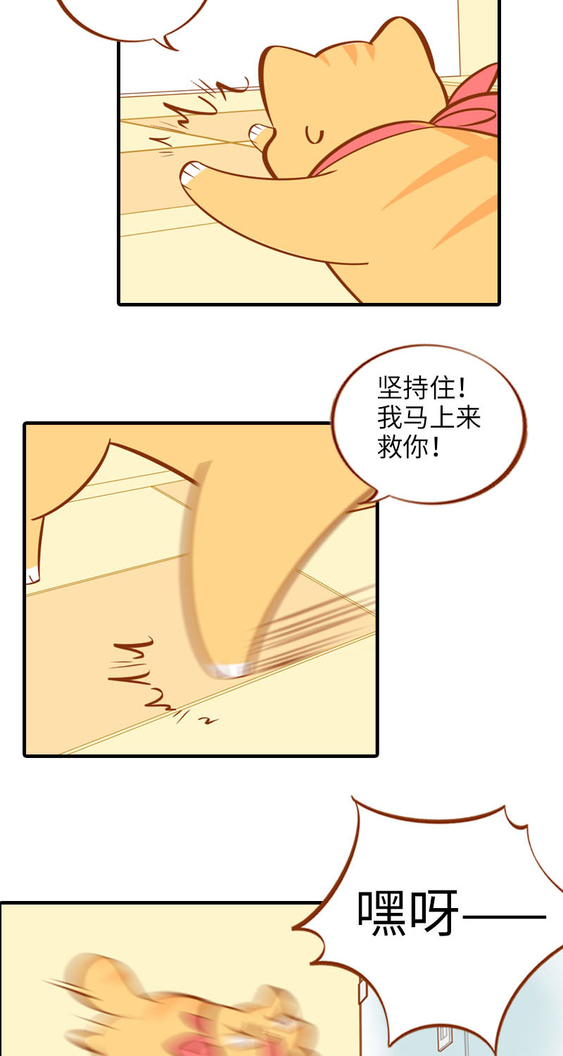 《猫咪的人类饲养指南》第14话 泡澡 第6页