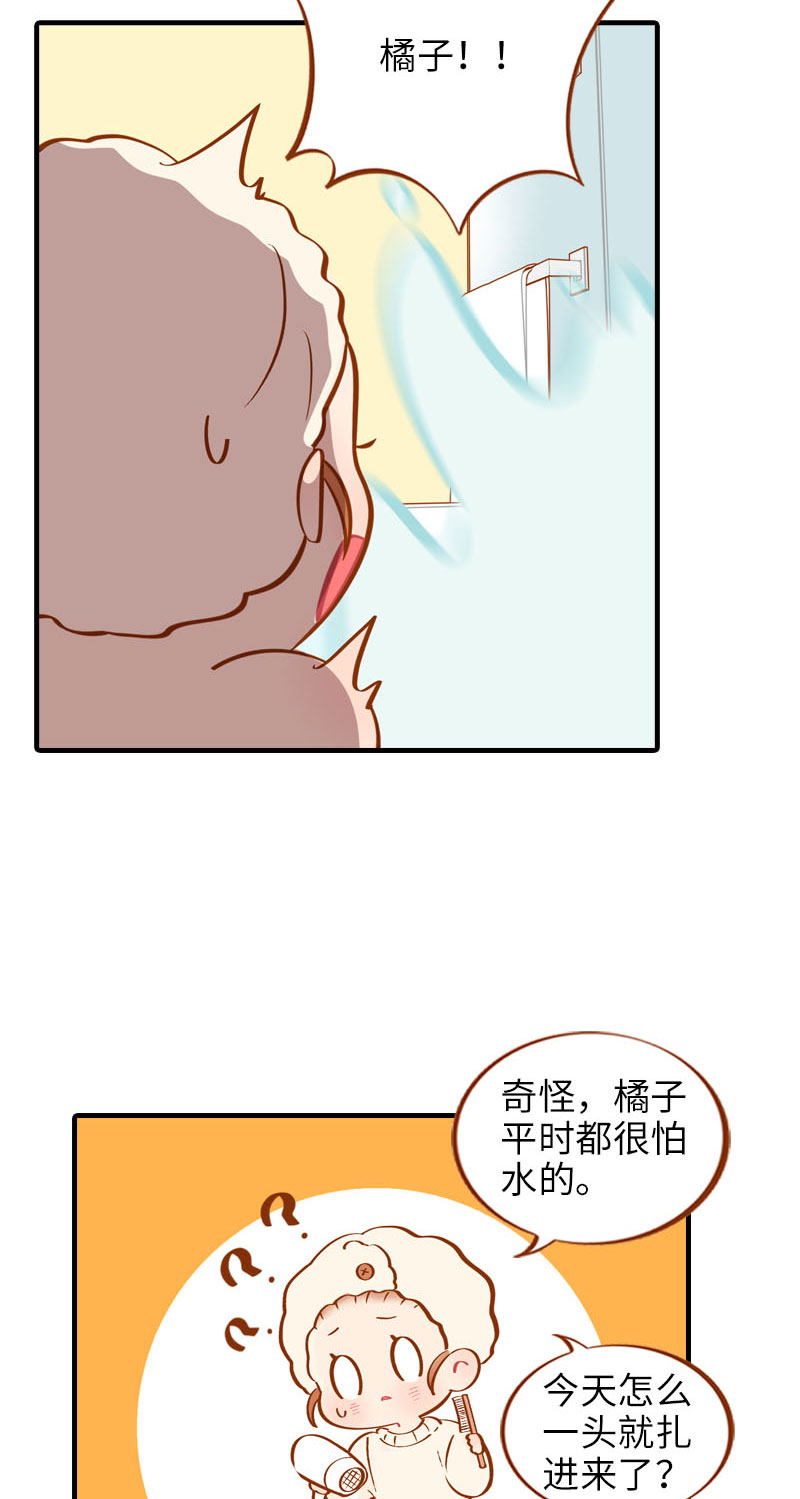 《猫咪的人类饲养指南》第14话 泡澡 第9页