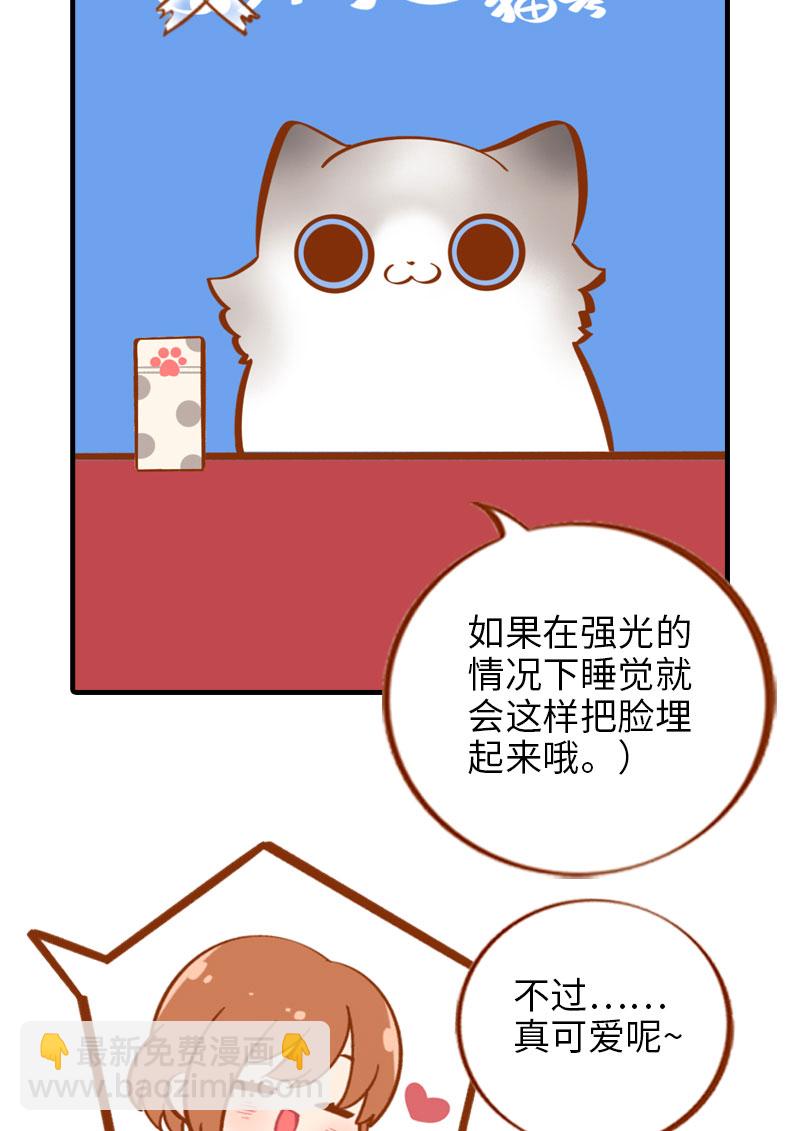 《猫咪的人类饲养指南》第12话 橘子低头 第12页