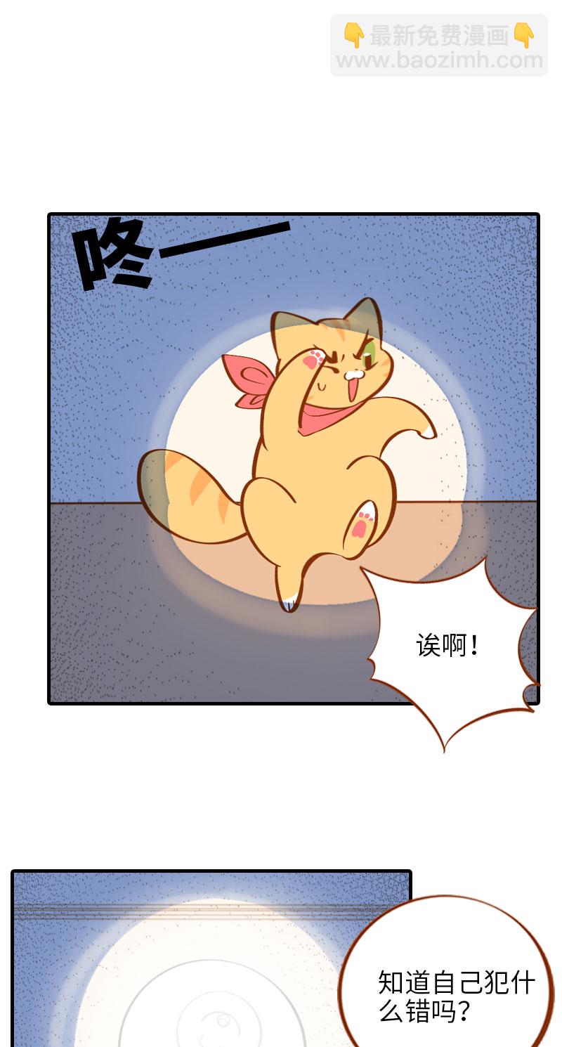 《猫咪的人类饲养指南》第12话 橘子低头 第2页