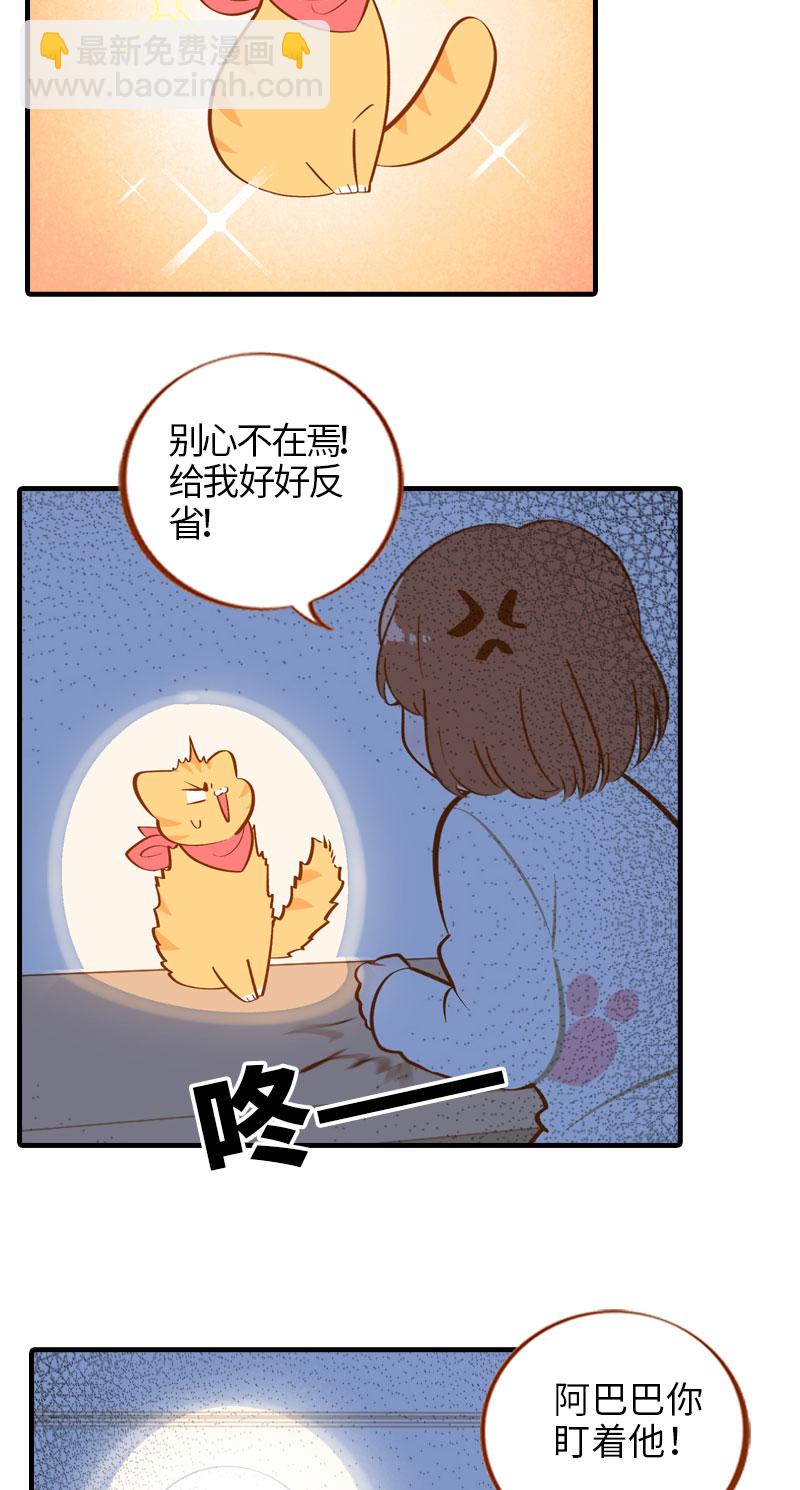 《猫咪的人类饲养指南》第12话 橘子低头 第5页