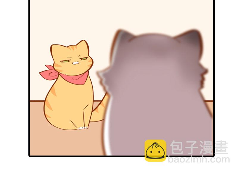 《猫咪的人类饲养指南》第12话 橘子低头 第7页