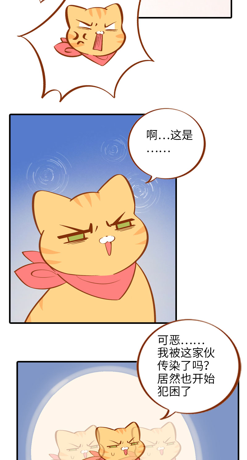 《猫咪的人类饲养指南》第12话 橘子低头 第9页