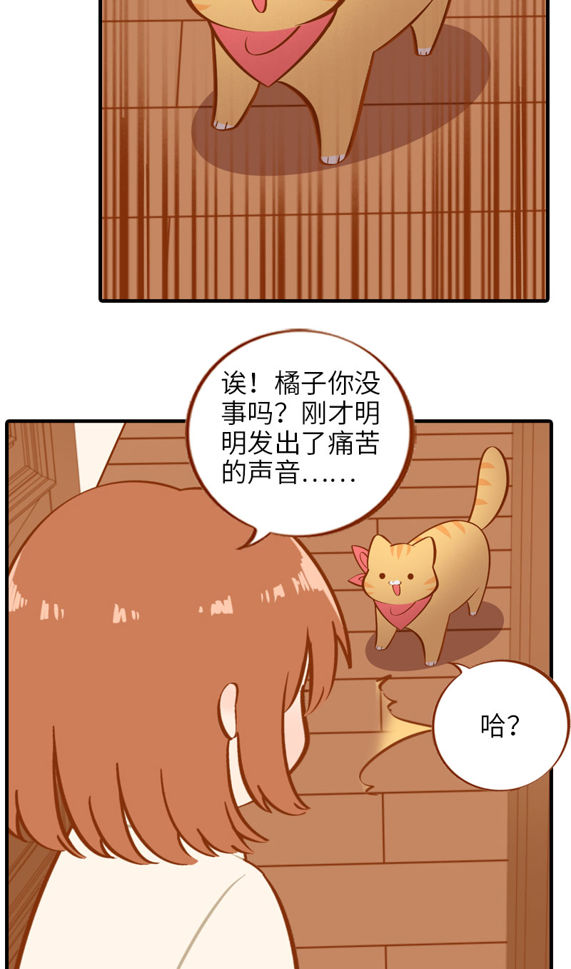《猫咪的人类饲养指南》第13话 橘子呼噜呼噜 第10页