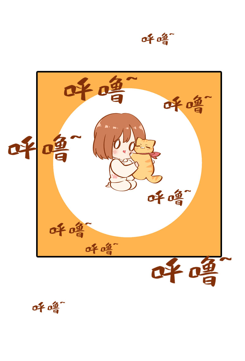 《猫咪的人类饲养指南》第13话 橘子呼噜呼噜 第12页
