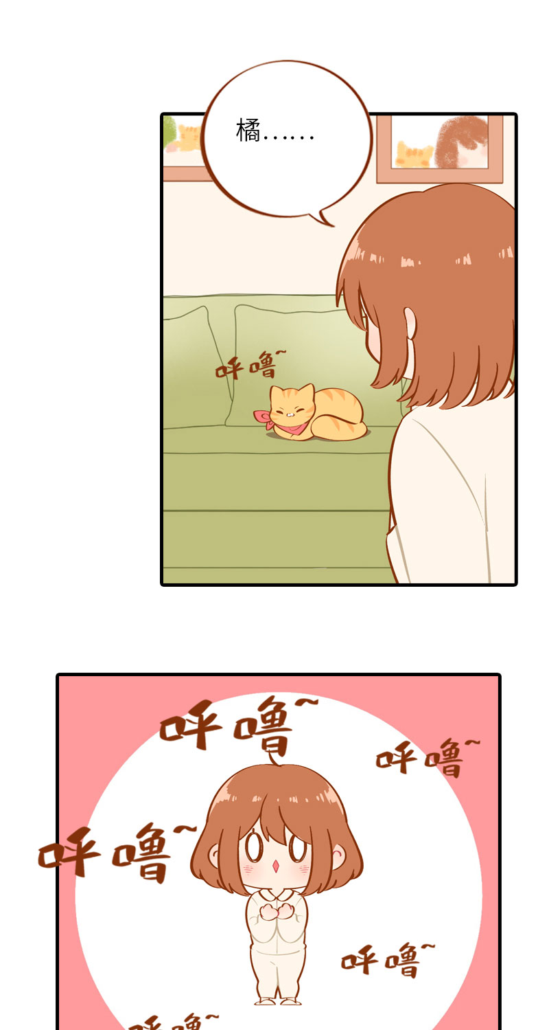 《猫咪的人类饲养指南》第13话 橘子呼噜呼噜 第2页
