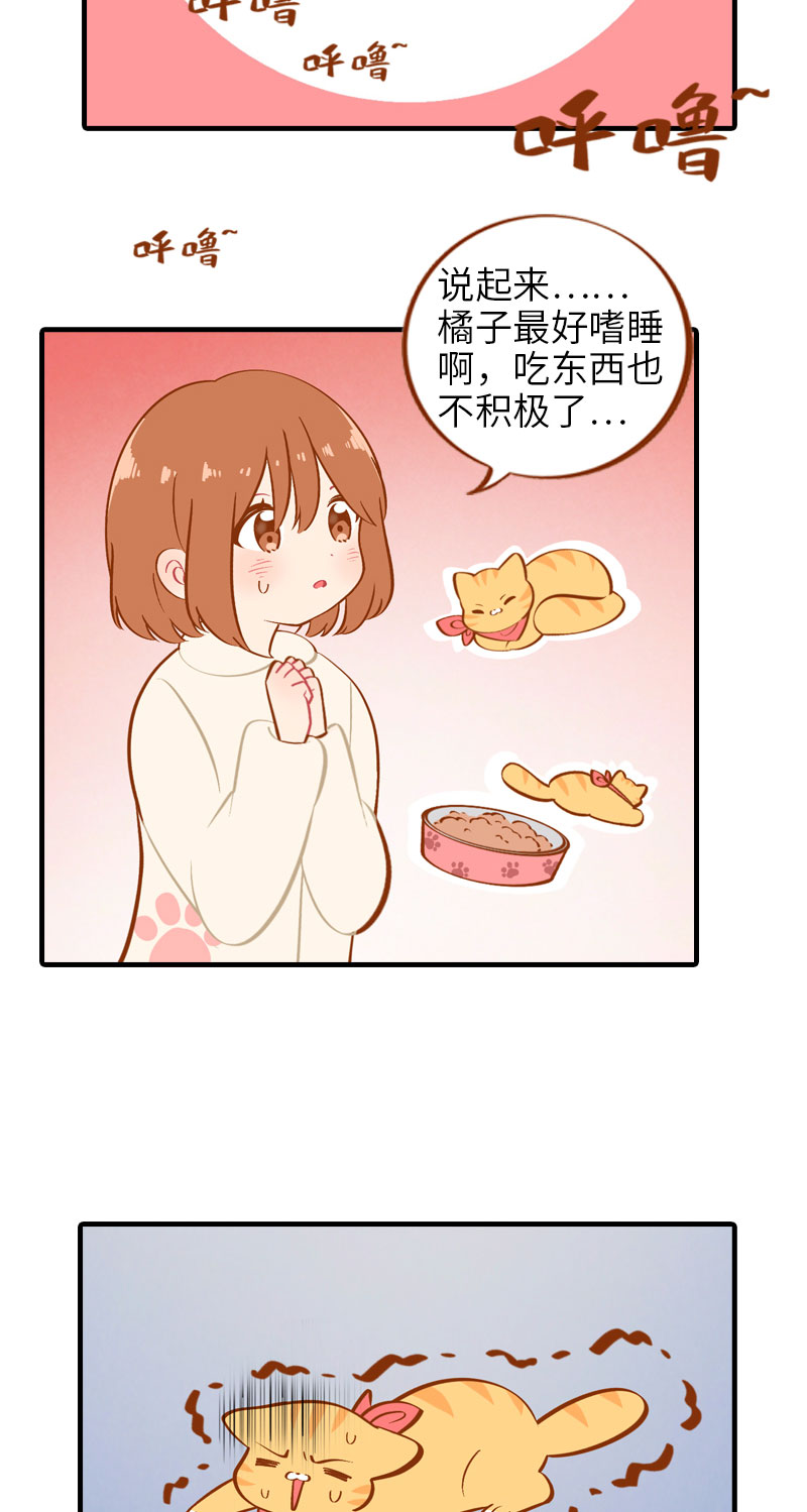 《猫咪的人类饲养指南》第13话 橘子呼噜呼噜 第3页