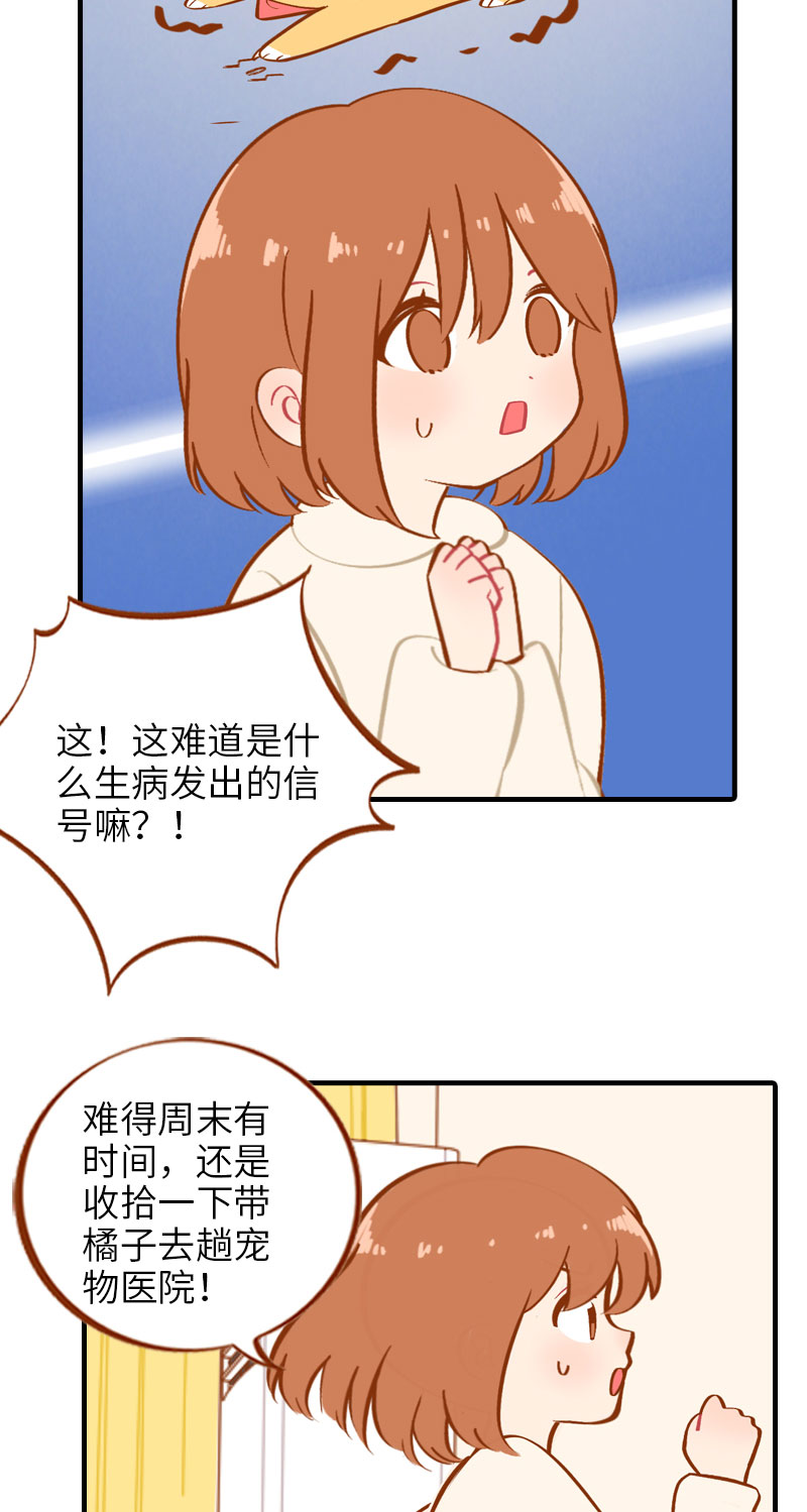 《猫咪的人类饲养指南》第13话 橘子呼噜呼噜 第4页