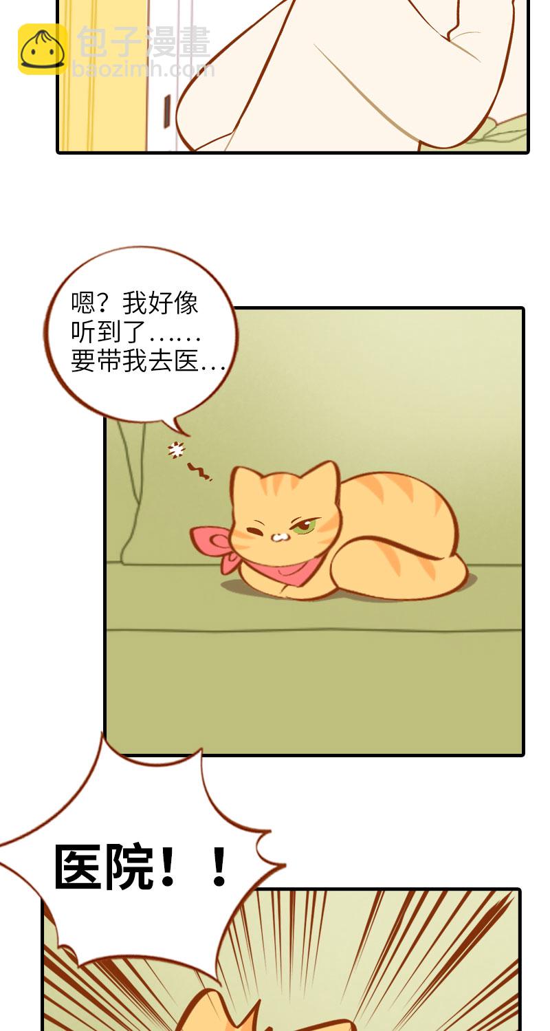《猫咪的人类饲养指南》第13话 橘子呼噜呼噜 第5页