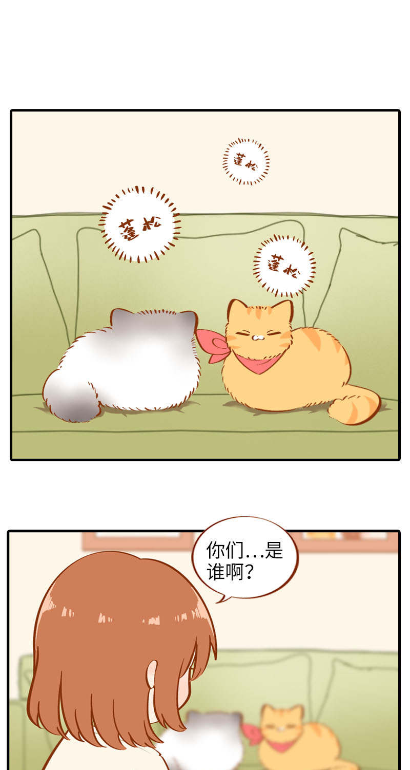 《猫咪的人类饲养指南》第16话 猫咪的冬季限定-爆毛 第2页