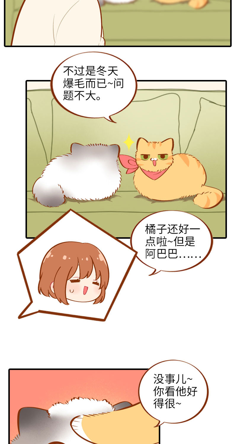 《猫咪的人类饲养指南》第16话 猫咪的冬季限定-爆毛 第3页