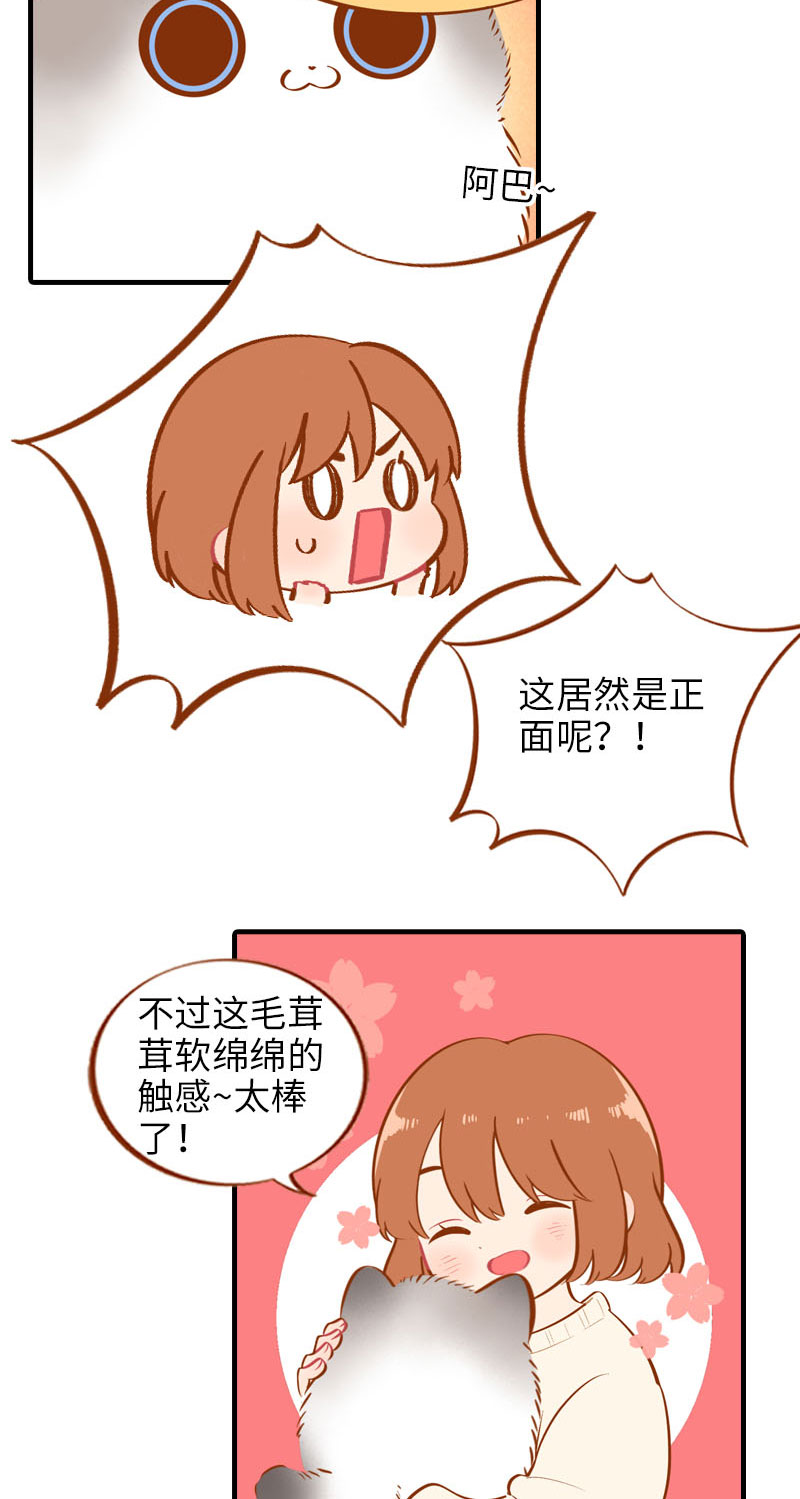 《猫咪的人类饲养指南》第16话 猫咪的冬季限定-爆毛 第4页