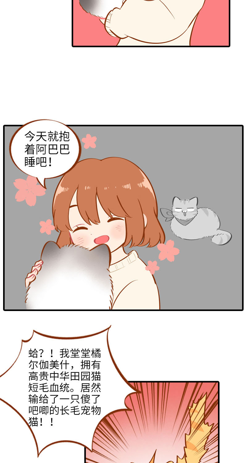 《猫咪的人类饲养指南》第16话 猫咪的冬季限定-爆毛 第5页