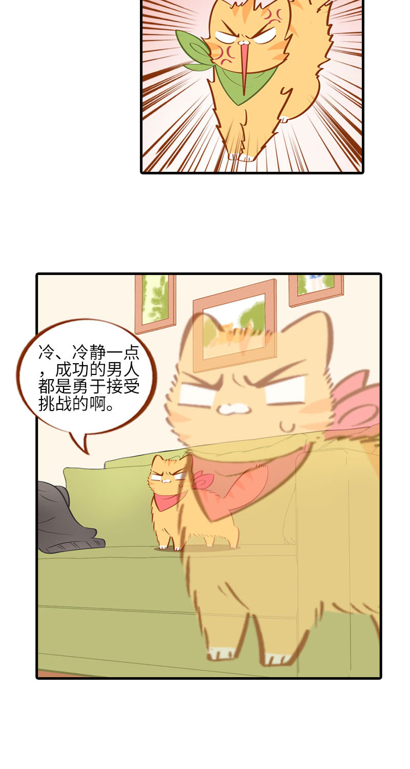 《猫咪的人类饲养指南》第16话 猫咪的冬季限定-爆毛 第6页