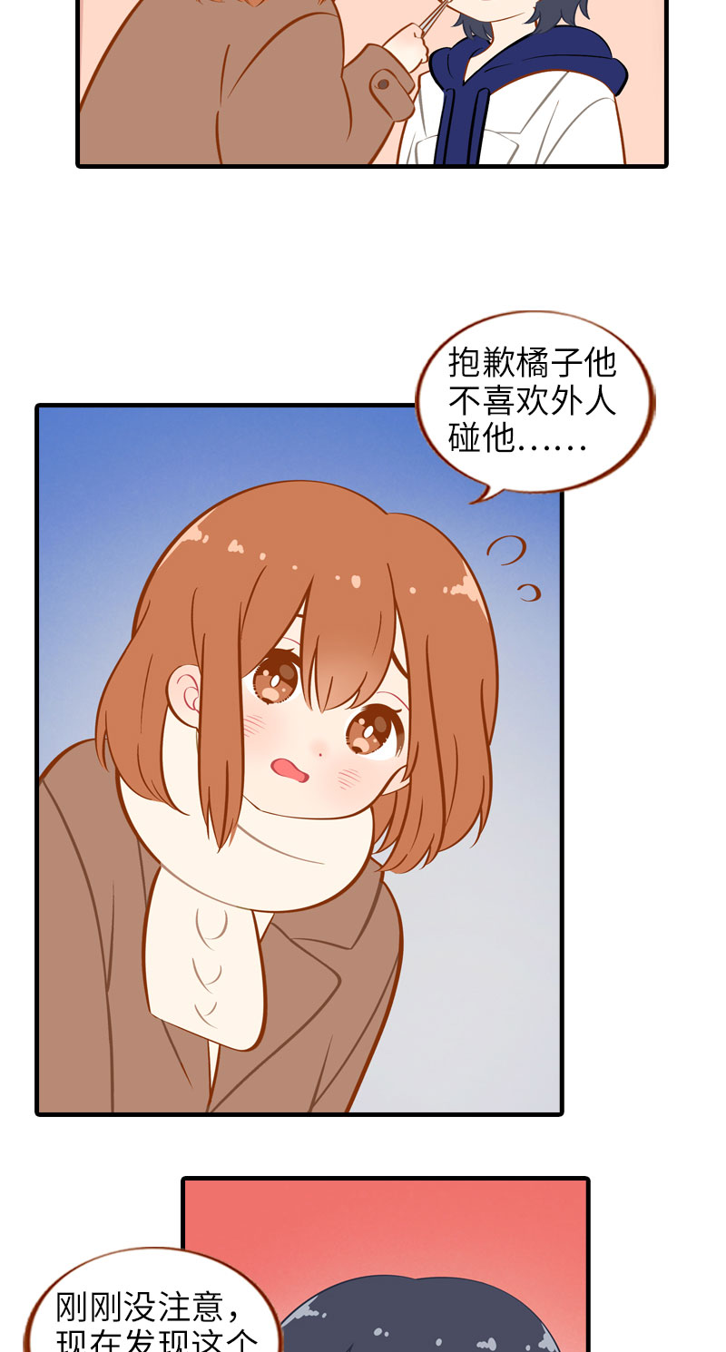 《猫咪的人类饲养指南》第19话 剪指甲 第3页