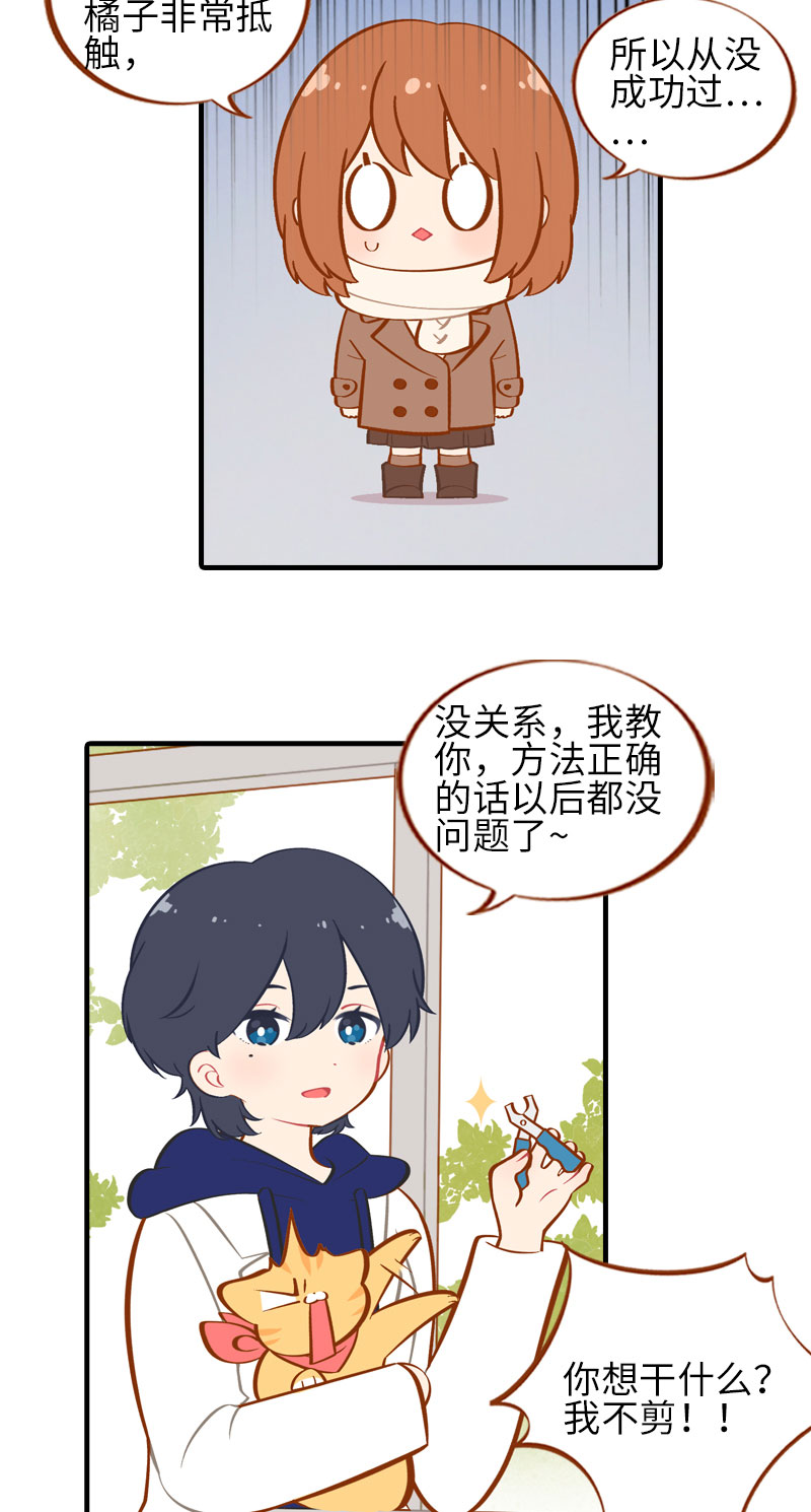 《猫咪的人类饲养指南》第19话 剪指甲 第6页