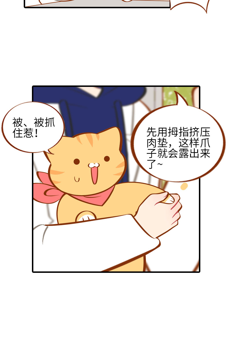 《猫咪的人类饲养指南》第19话 剪指甲 第7页
