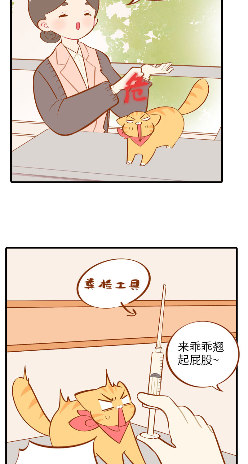 《猫咪的人类饲养指南》第18话 宠物医院初体验 第5页