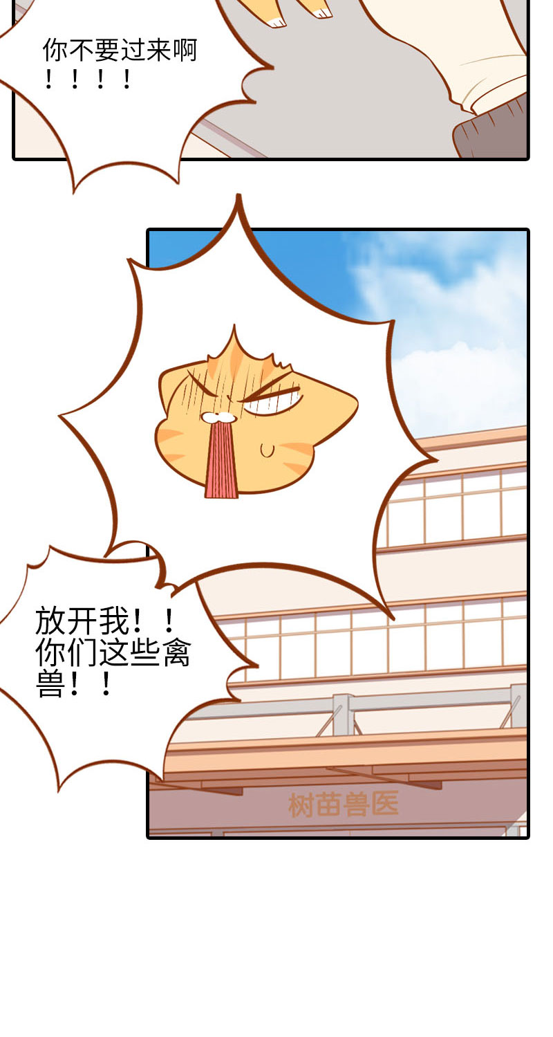 《猫咪的人类饲养指南》第18话 宠物医院初体验 第6页