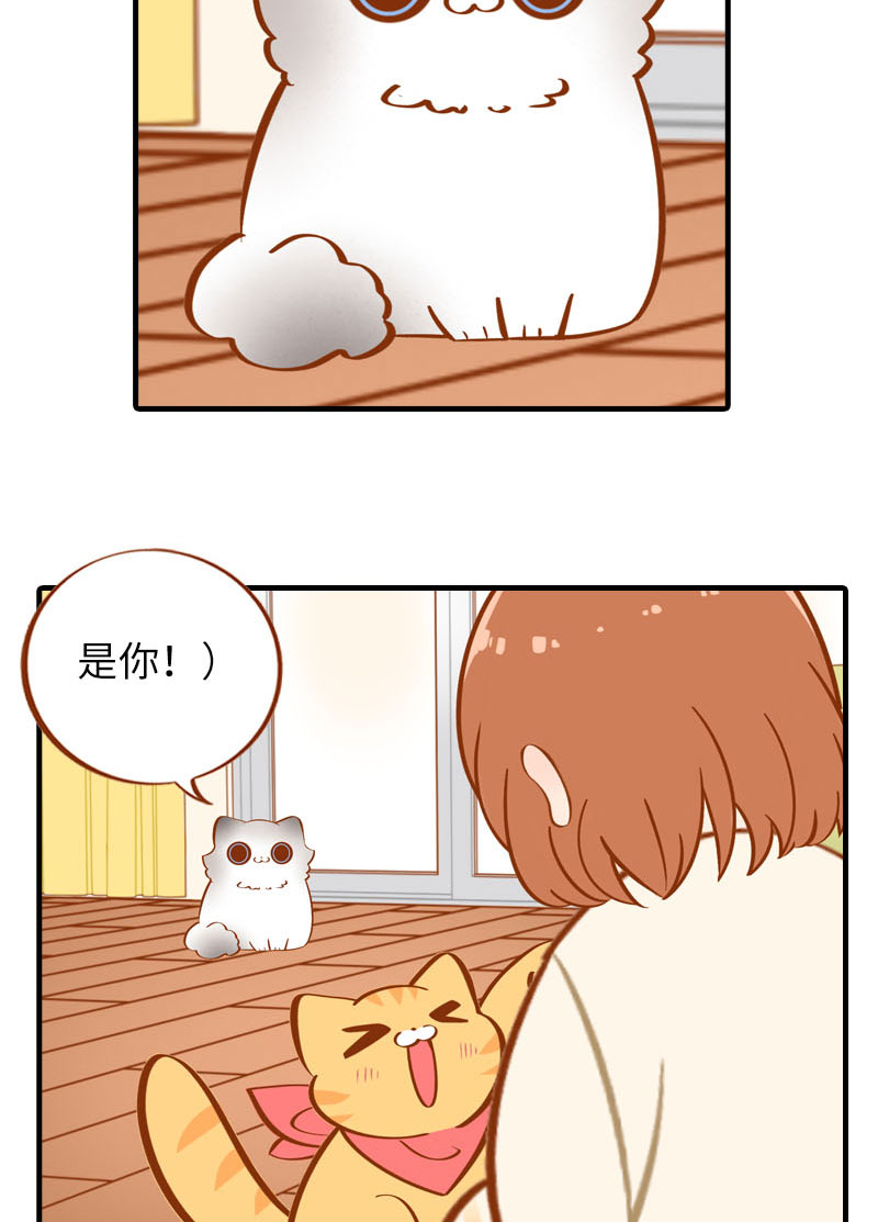 《猫咪的人类饲养指南》第17话 橘子的自我攻略 第11页
