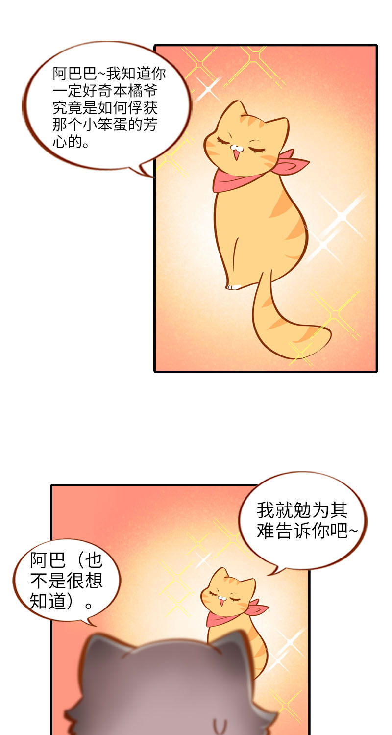 《猫咪的人类饲养指南》第17话 橘子的自我攻略 第2页
