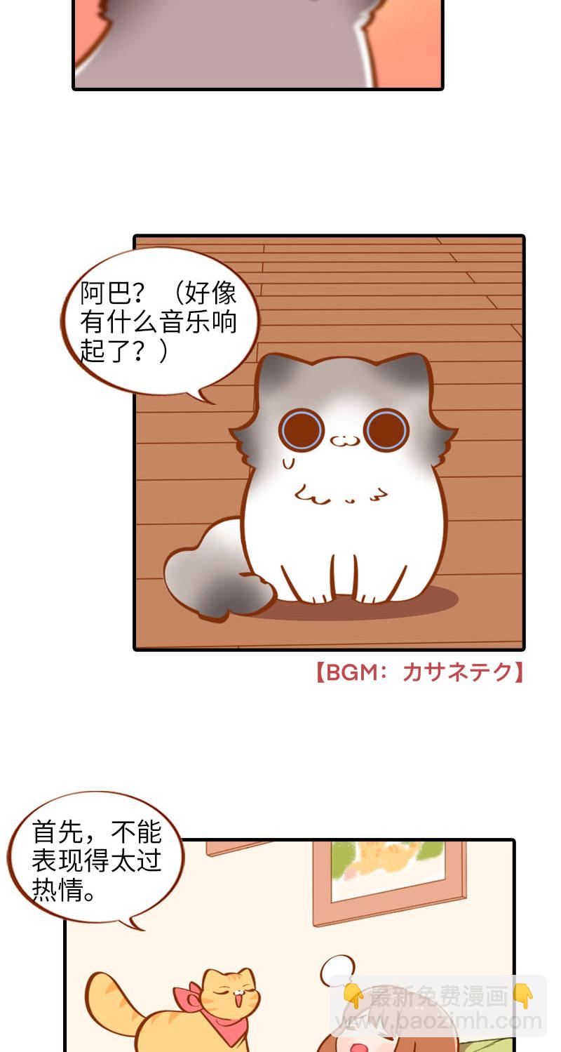 《猫咪的人类饲养指南》第17话 橘子的自我攻略 第3页