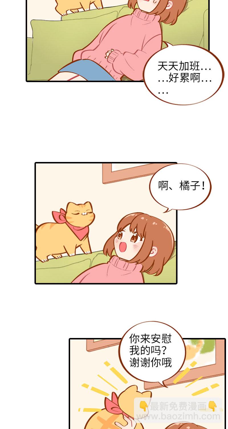 《猫咪的人类饲养指南》第17话 橘子的自我攻略 第4页