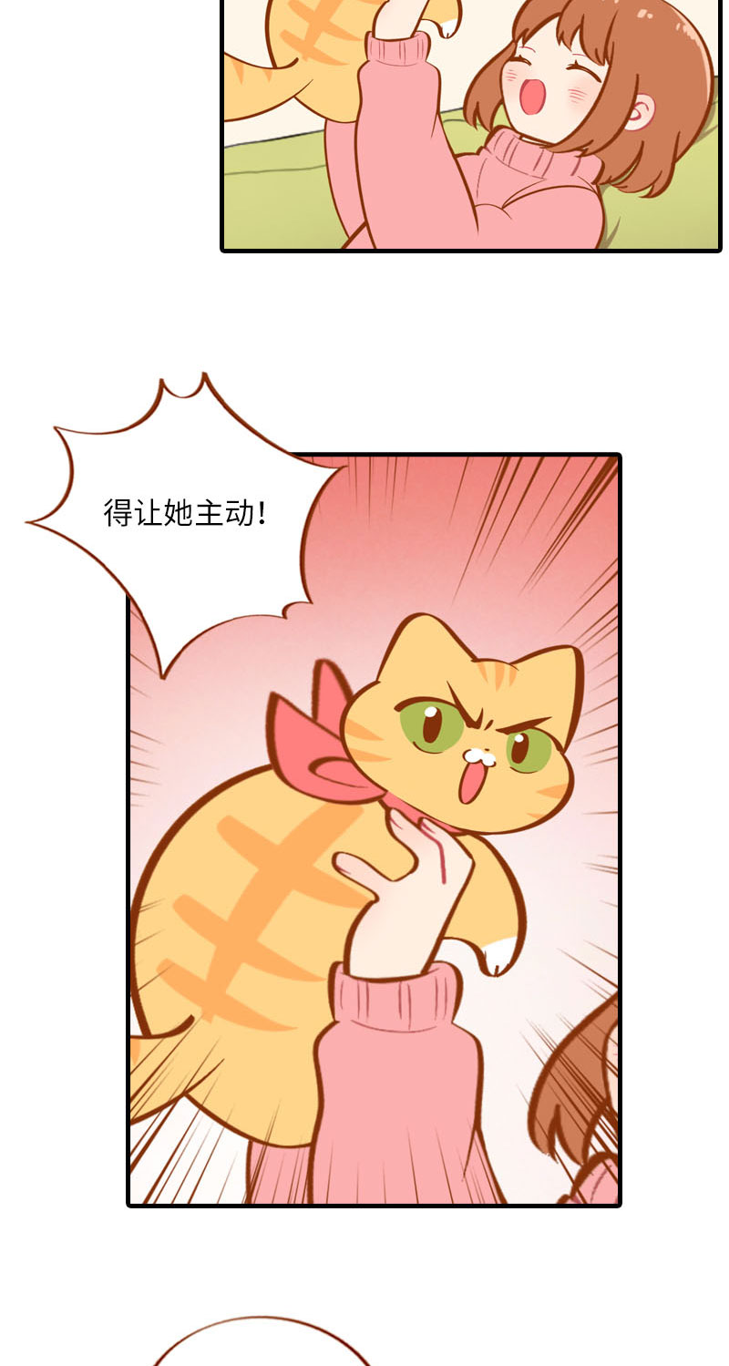 《猫咪的人类饲养指南》第17话 橘子的自我攻略 第5页