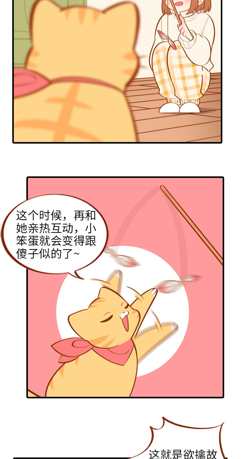 《猫咪的人类饲养指南》第17话 橘子的自我攻略 第9页