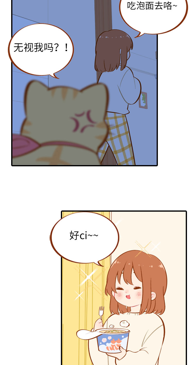 《猫咪的人类饲养指南》第22话 夜宵 第5页