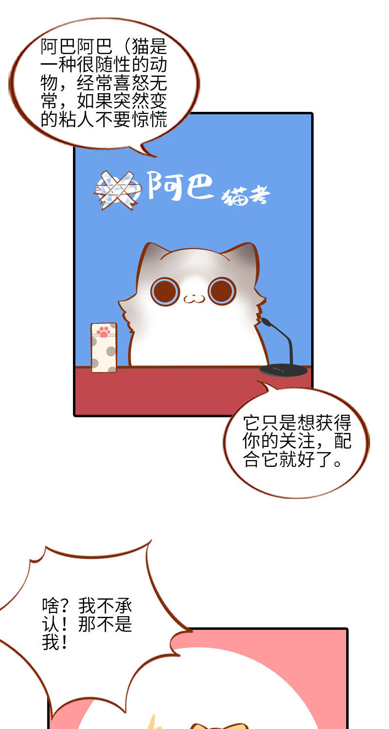 《猫咪的人类饲养指南》第21话 橘子黑历史 第10页