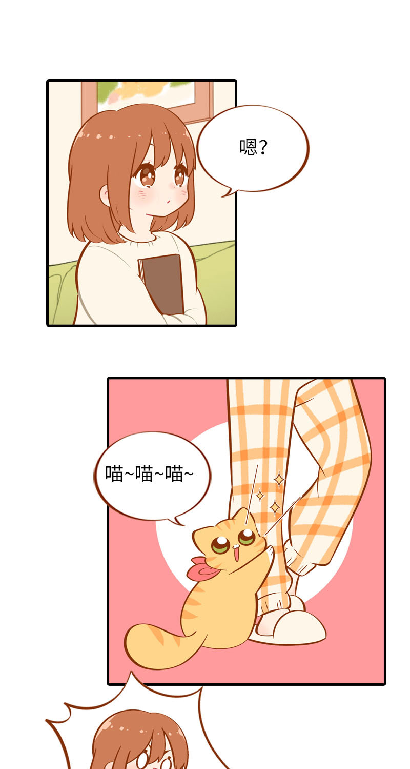 《猫咪的人类饲养指南》第21话 橘子黑历史 第2页