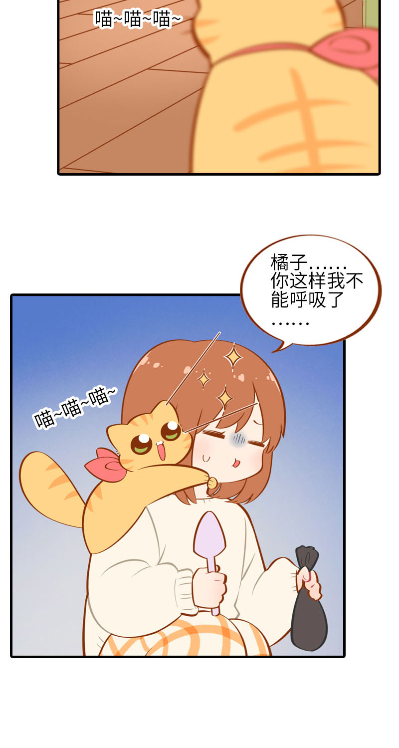 《猫咪的人类饲养指南》第21话 橘子黑历史 第6页