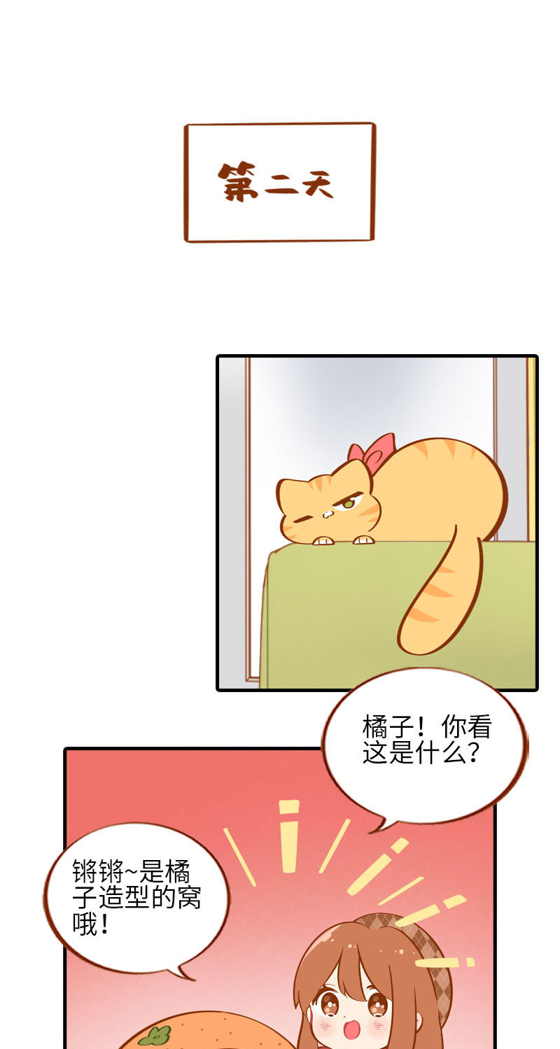 《猫咪的人类饲养指南》第21话 橘子黑历史 第8页