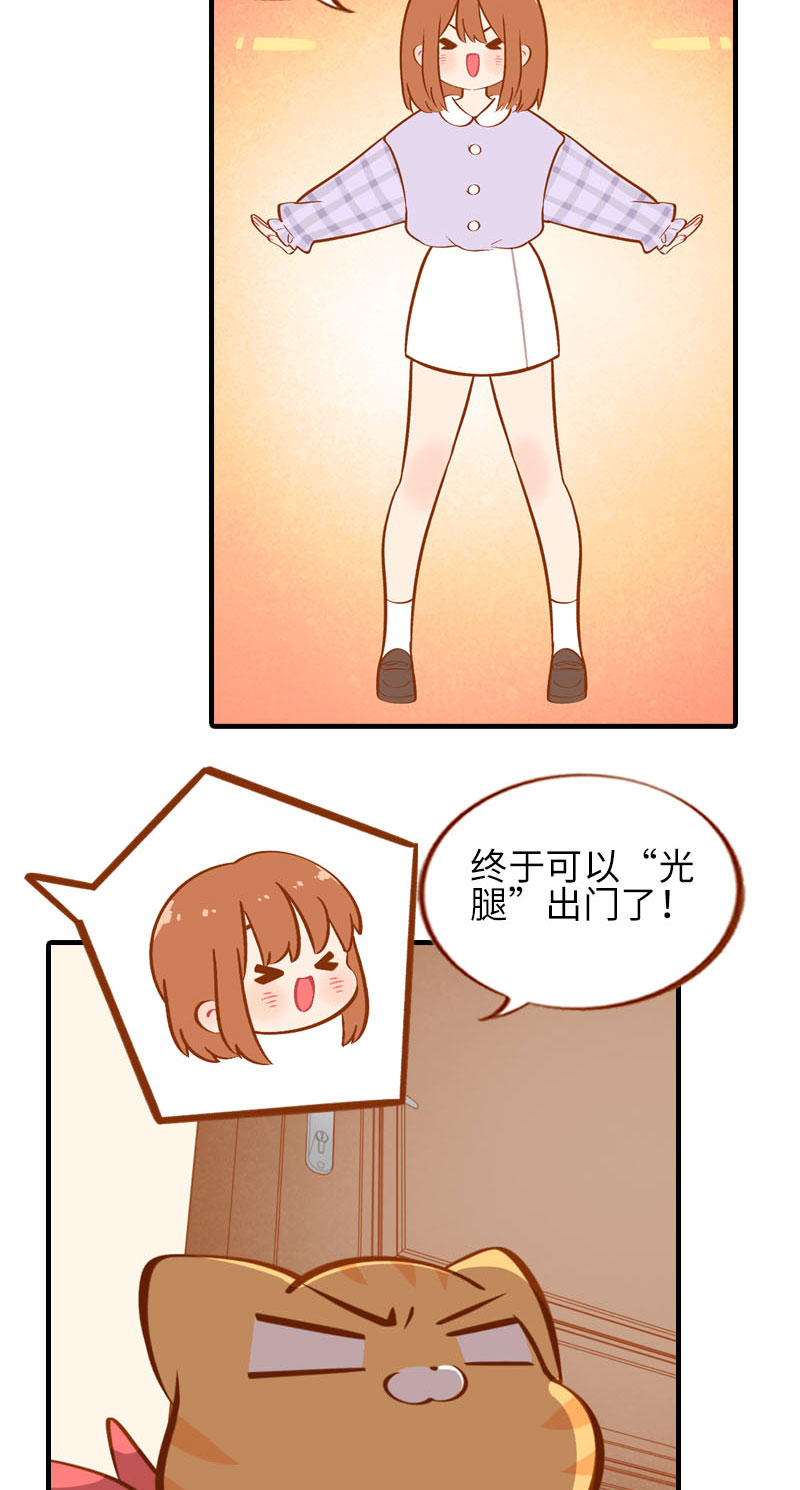 《猫咪的人类饲养指南》第23话 光腿神器 第3页