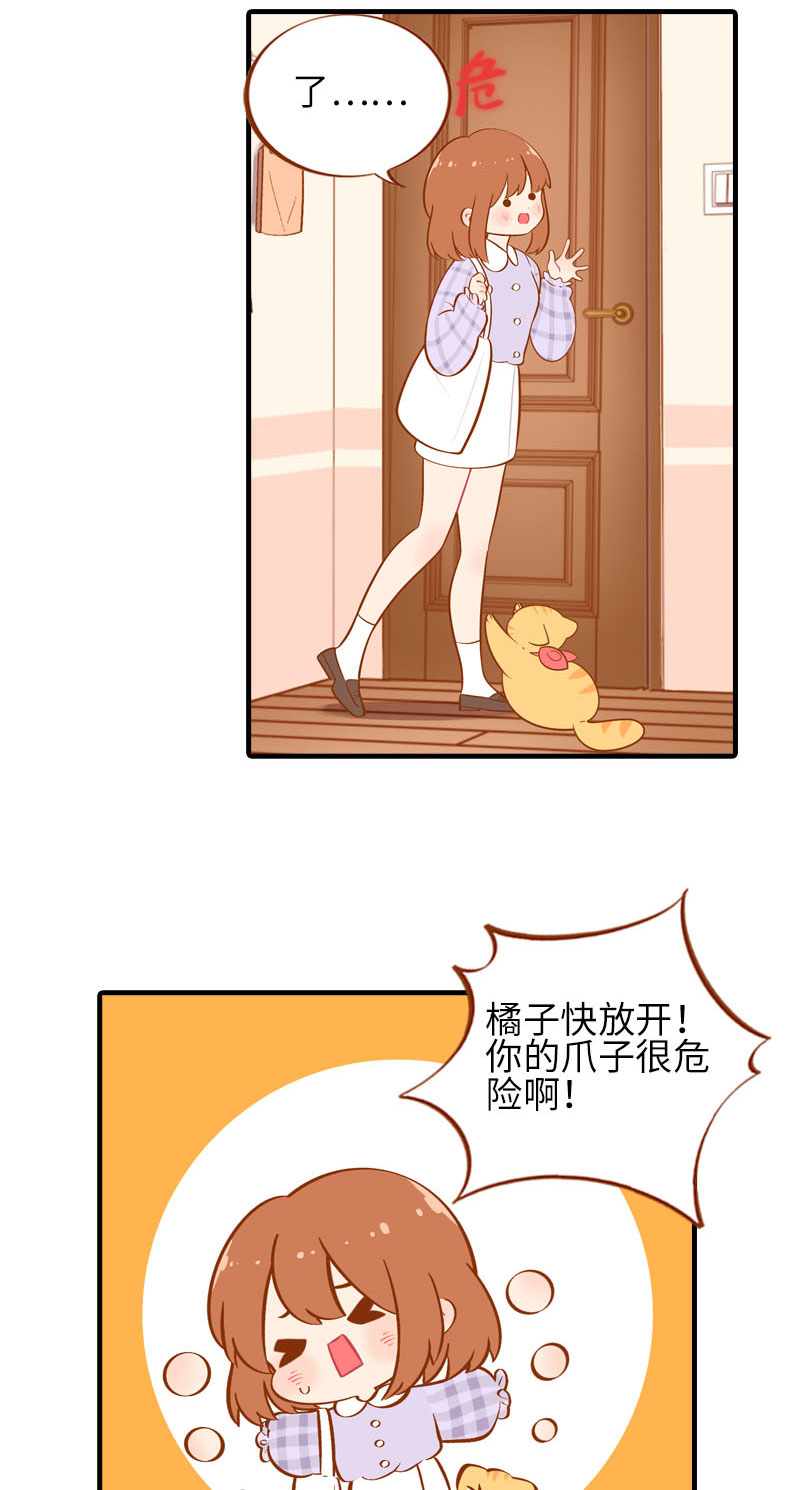 《猫咪的人类饲养指南》第23话 光腿神器 第5页