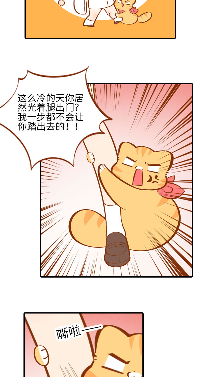 《猫咪的人类饲养指南》第23话 光腿神器 第6页