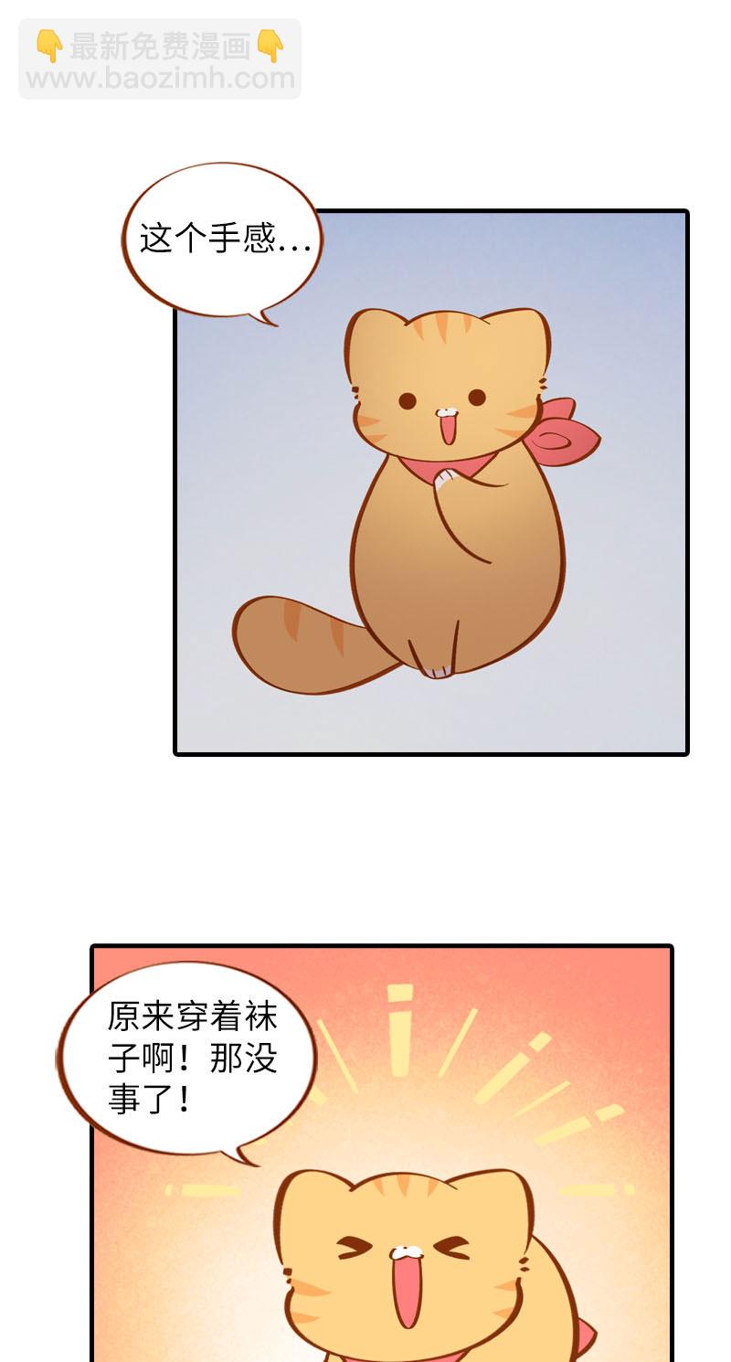 《猫咪的人类饲养指南》第23话 光腿神器 第8页