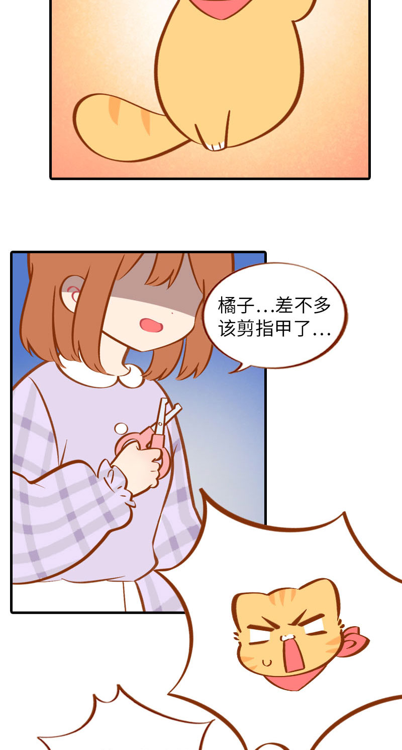 《猫咪的人类饲养指南》第23话 光腿神器 第9页