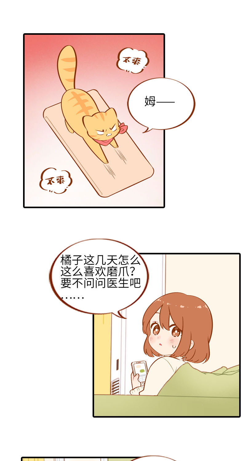 《猫咪的人类饲养指南》第20话 因磨爪而起的饭局 第2页