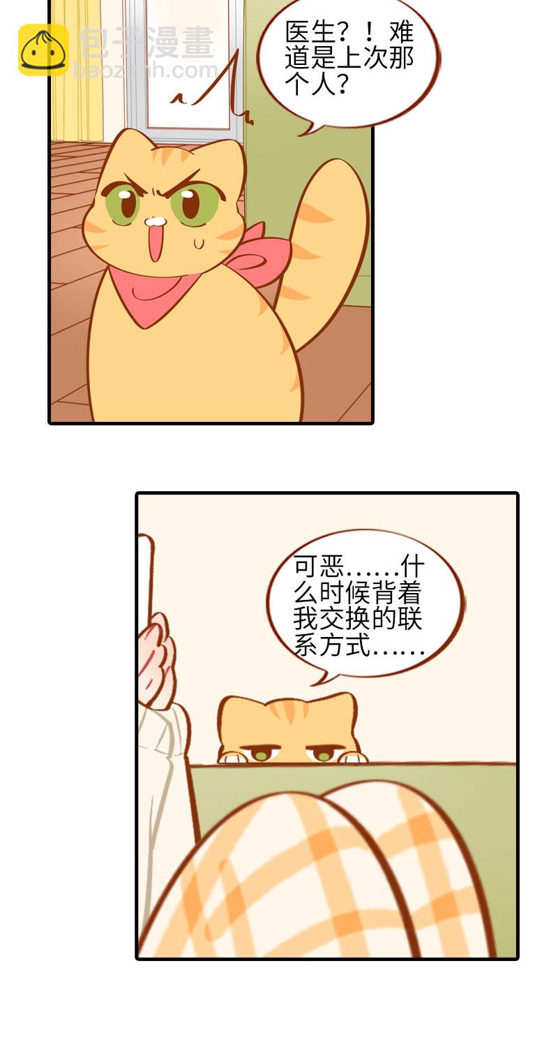 《猫咪的人类饲养指南》第20话 因磨爪而起的饭局 第3页