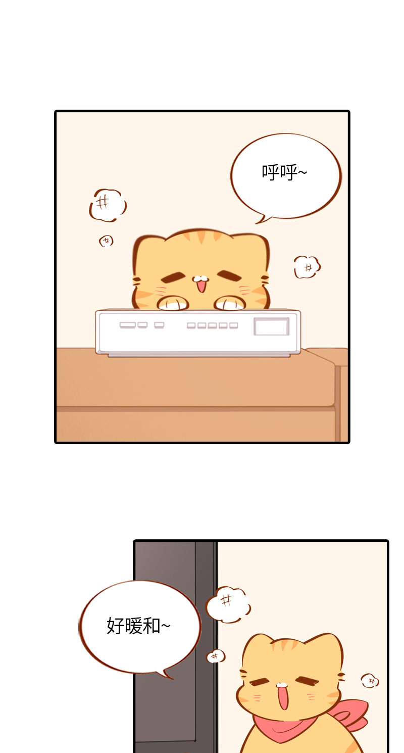 《猫咪的人类饲养指南》第26话 活体信号屏蔽器 第2页