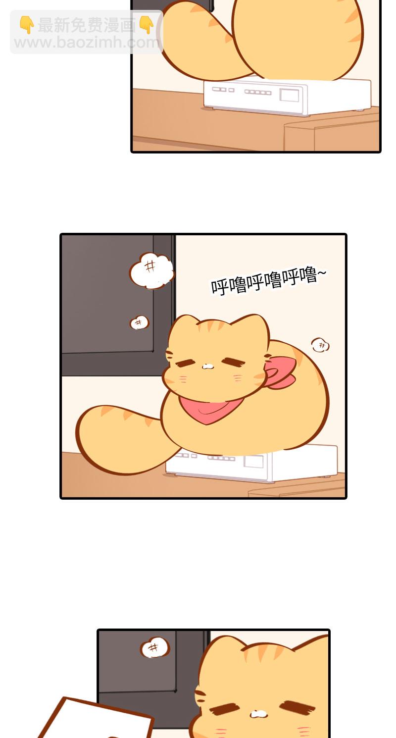 《猫咪的人类饲养指南》第26话 活体信号屏蔽器 第3页