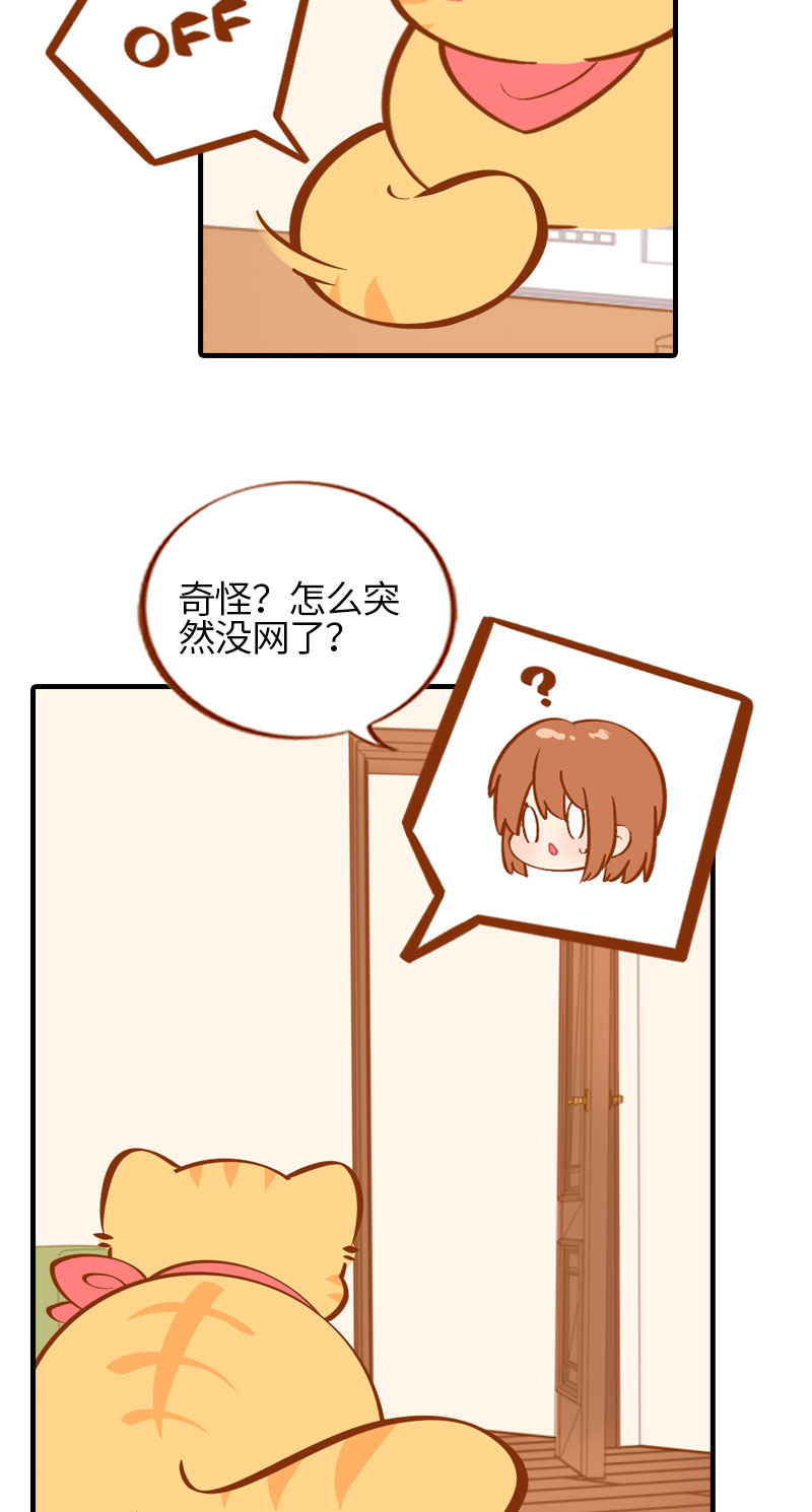 《猫咪的人类饲养指南》第26话 活体信号屏蔽器 第4页