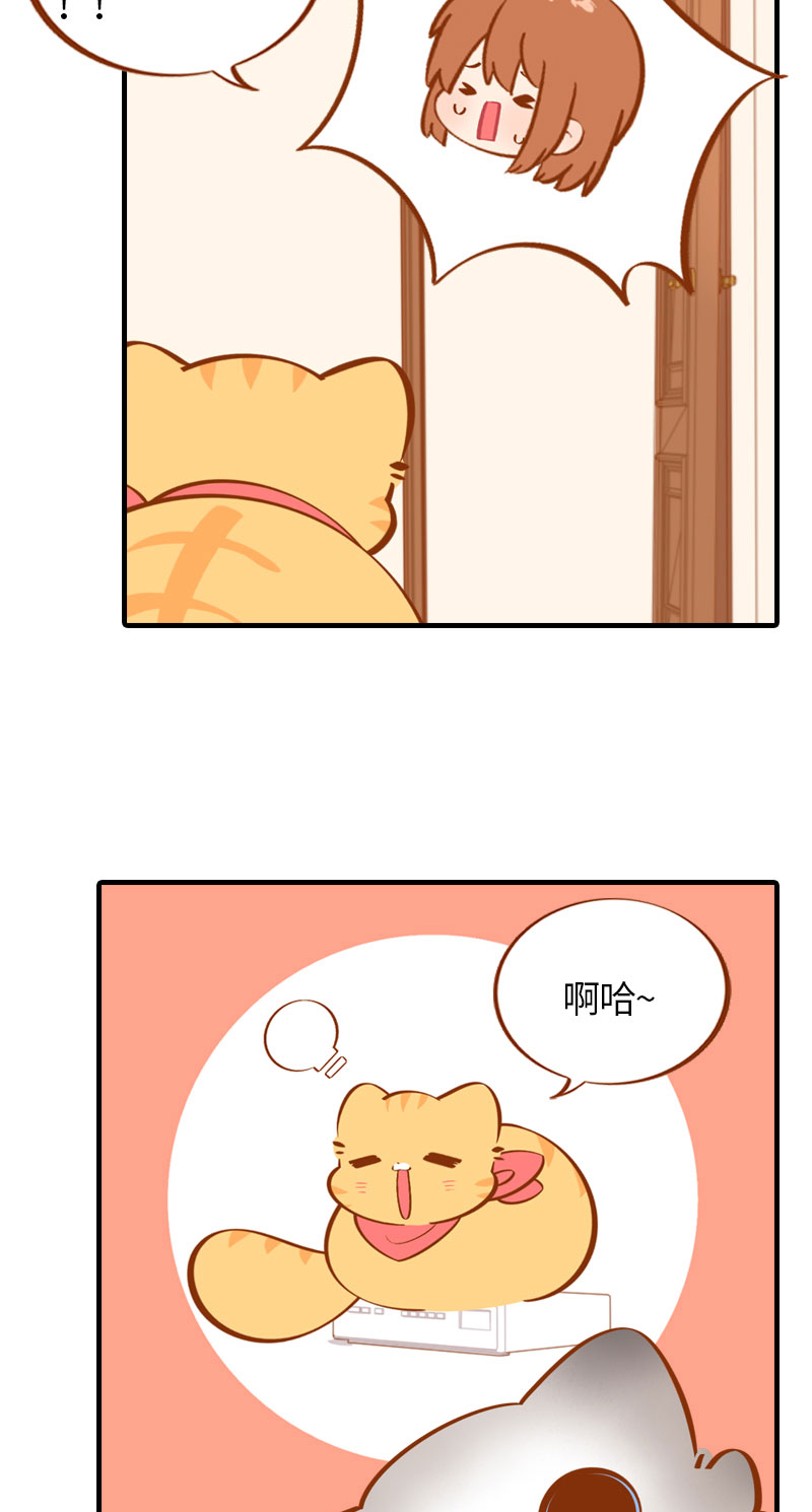《猫咪的人类饲养指南》第26话 活体信号屏蔽器 第6页