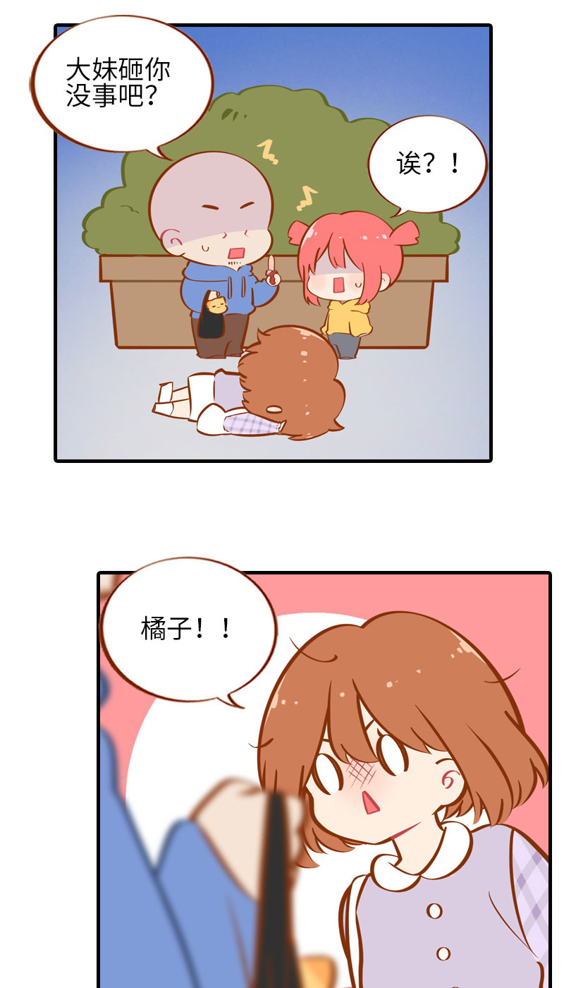 《猫咪的人类饲养指南》番外1 差一点就失去你了 第11页